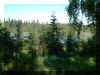 Backyard-To-Kenai.jpg (89116 bytes)