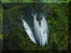 fish.jpg (30720 bytes)